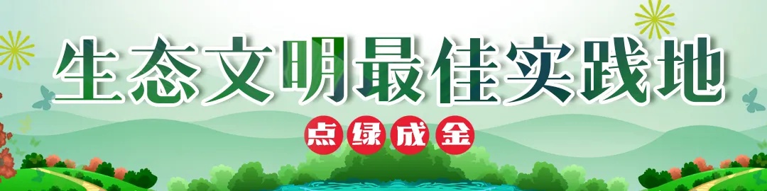 像花儿一样幸福正在崇明慢慢实现