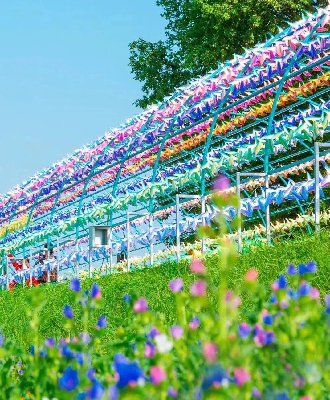 网红村又有新玩法来赴春日之约