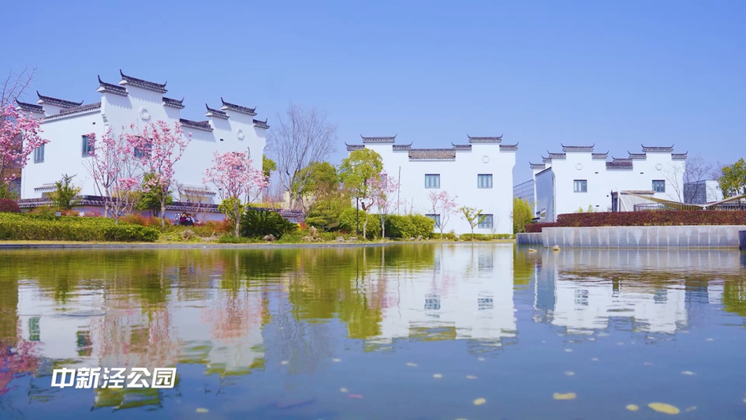春暖花开四月天新泾的春景美翻天