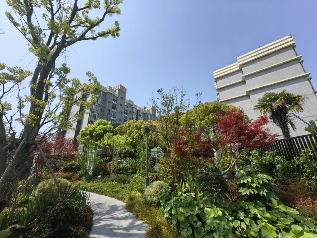 浦东陆家嘴水环打造生态系统高品质滨水空间丰富美好生活