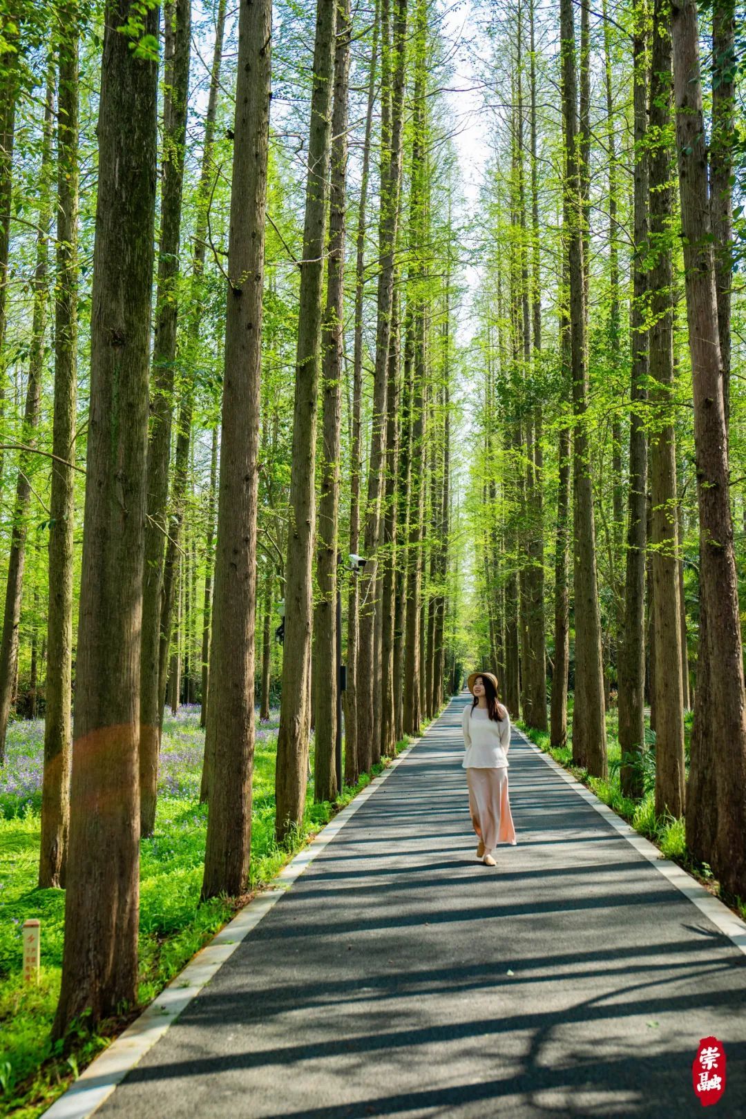 崇明植物园图片