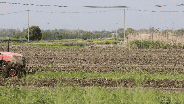 春耕时节来佘山田间地头看看