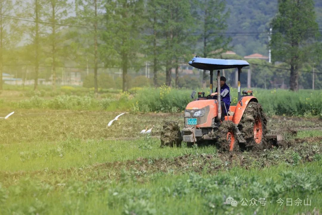 春耕时节来佘山田间地头看看