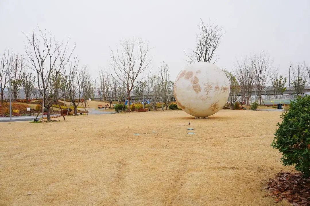 春暖花开来一场半马苏河公园citywalk