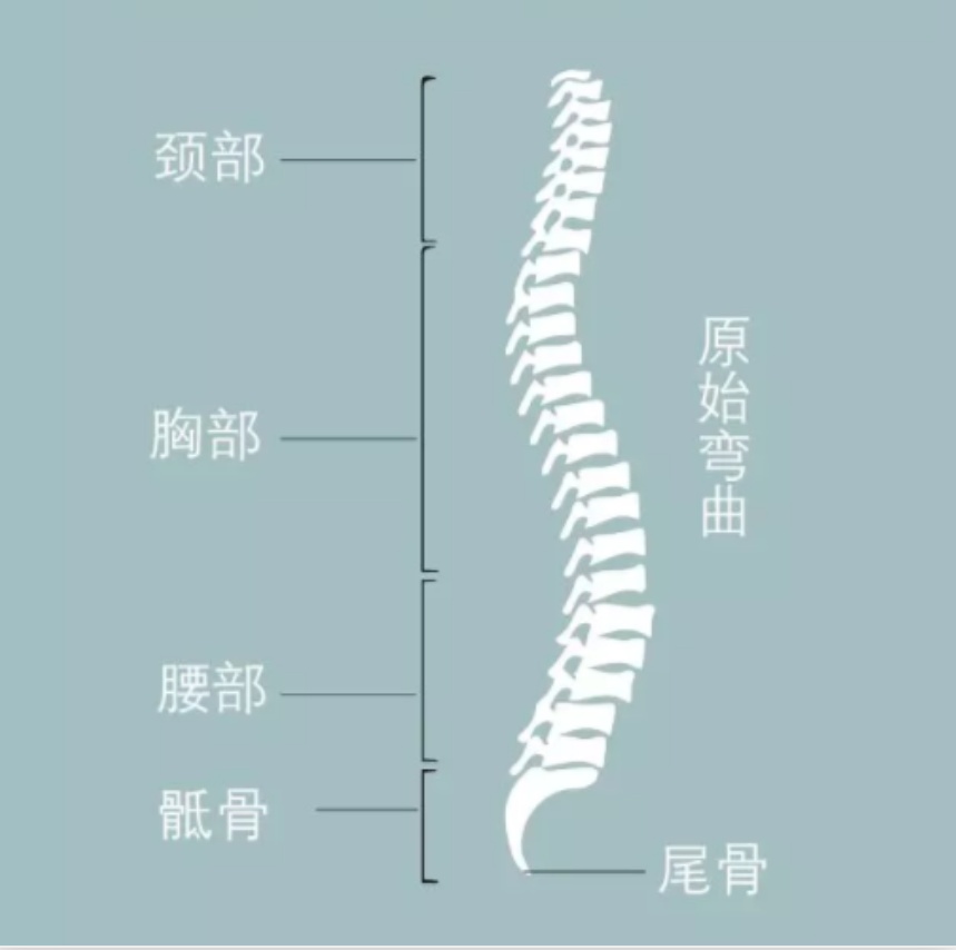 我的位置:>上观号>上海奉贤>文章详情>859_854