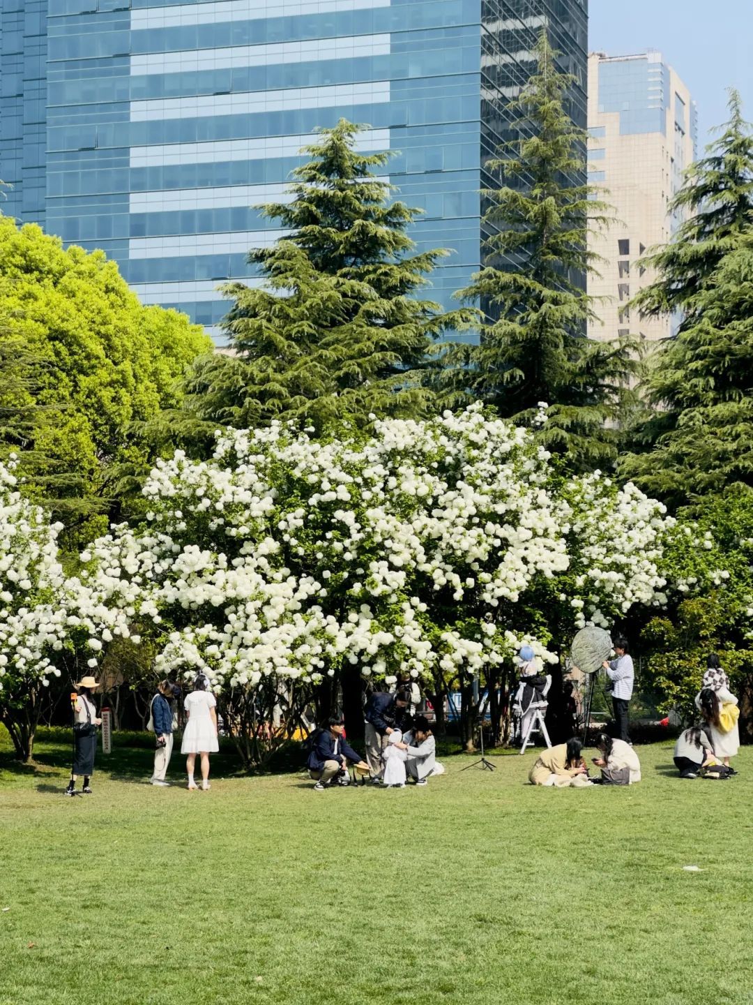 在4号线浦电路站竹园