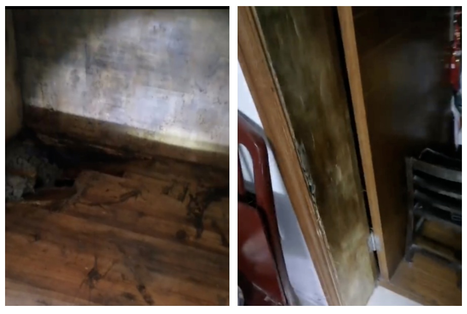 快捷高效白蚁防治员使害虫无处遁形