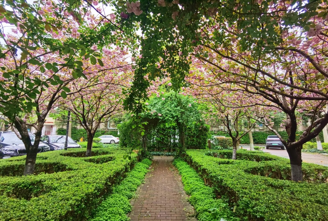 这么近那么美方松街道家门口的一隅美景藏不住啦