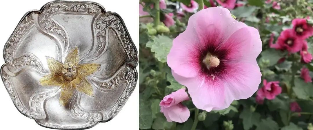 一盏繁花，这是最适合春天的杯子啦~_上观新闻