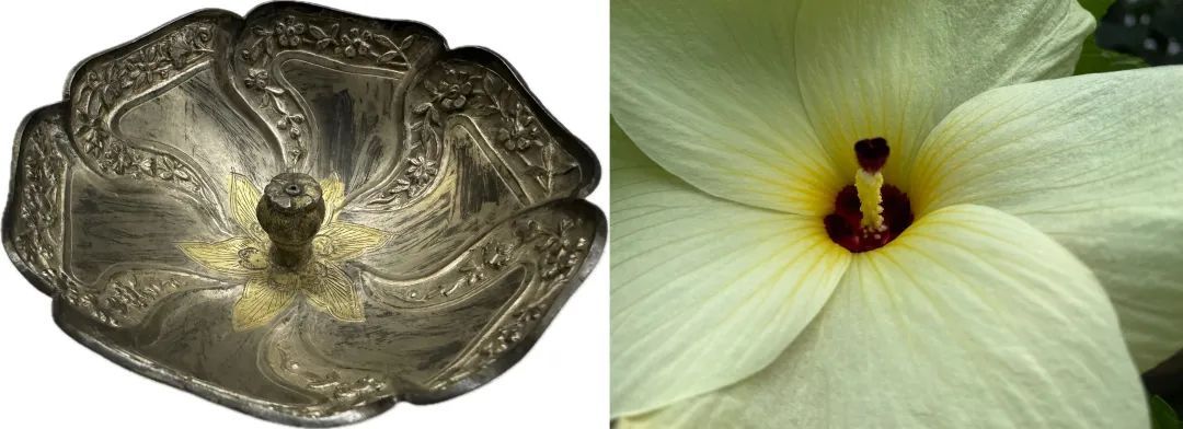 一盏繁花，这是最适合春天的杯子啦~_上观新闻