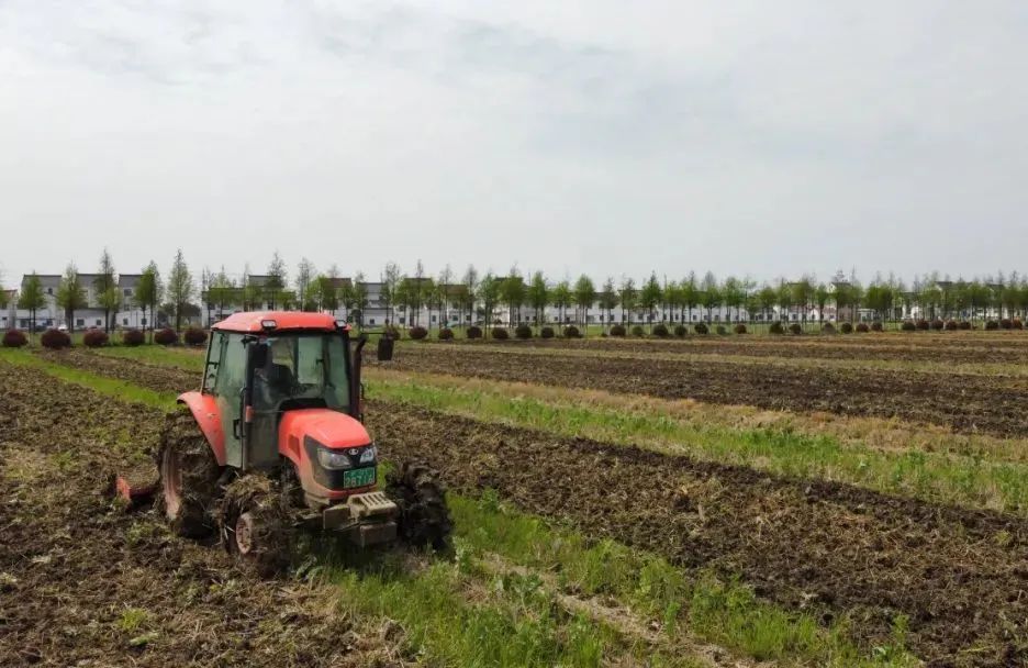 我的位置:>上观号>上海松江>文章详情>936_608