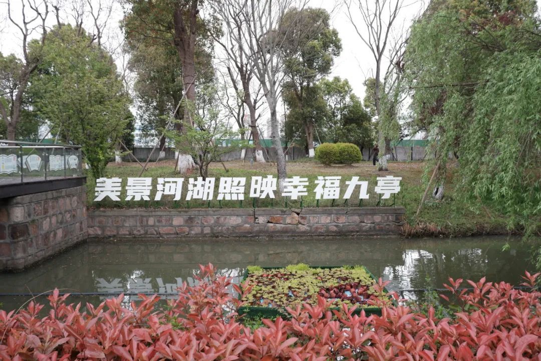 上海九科绿洲公园简介图片
