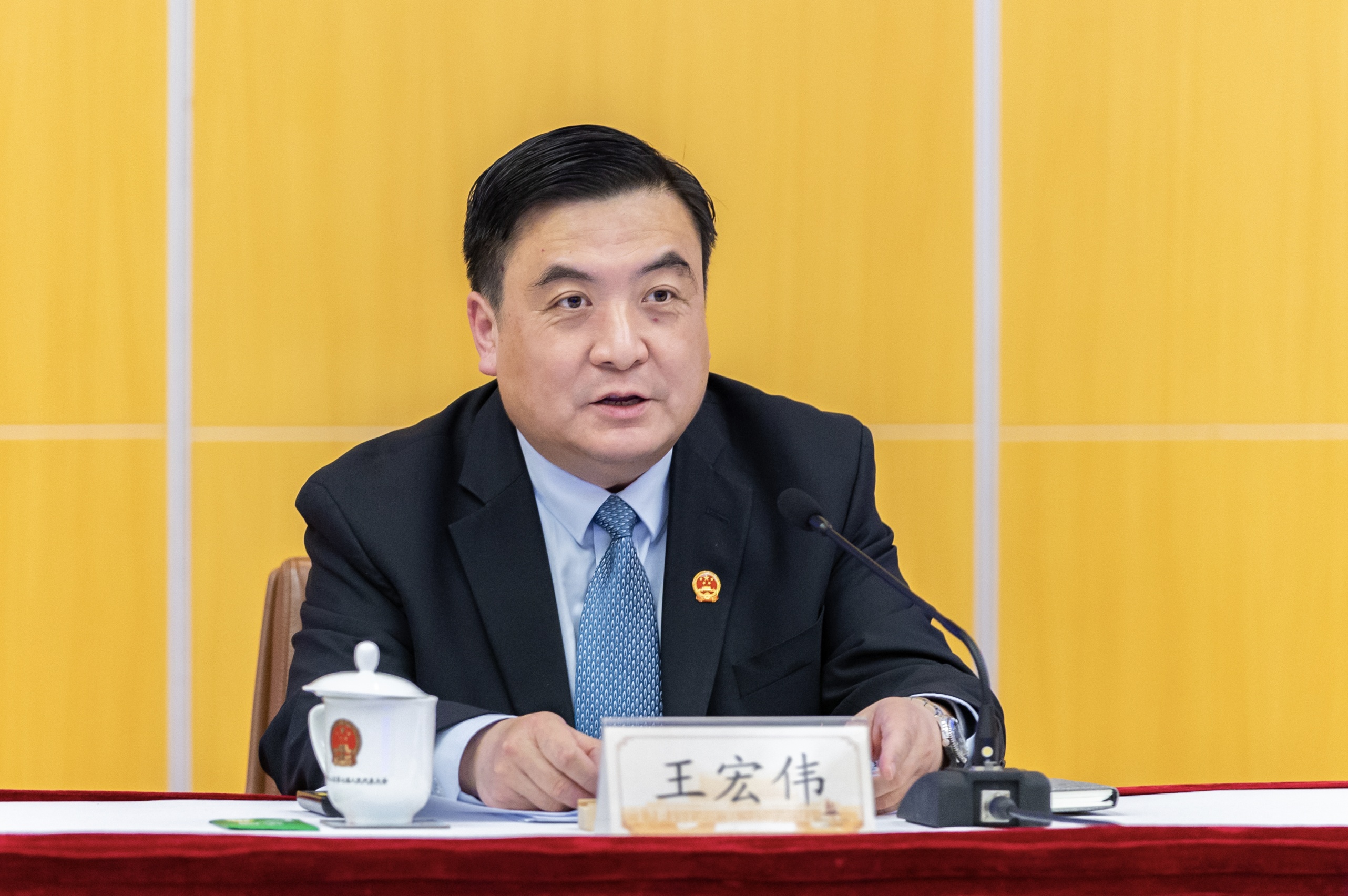 区人大常委会主任王宏伟主持会议并讲话