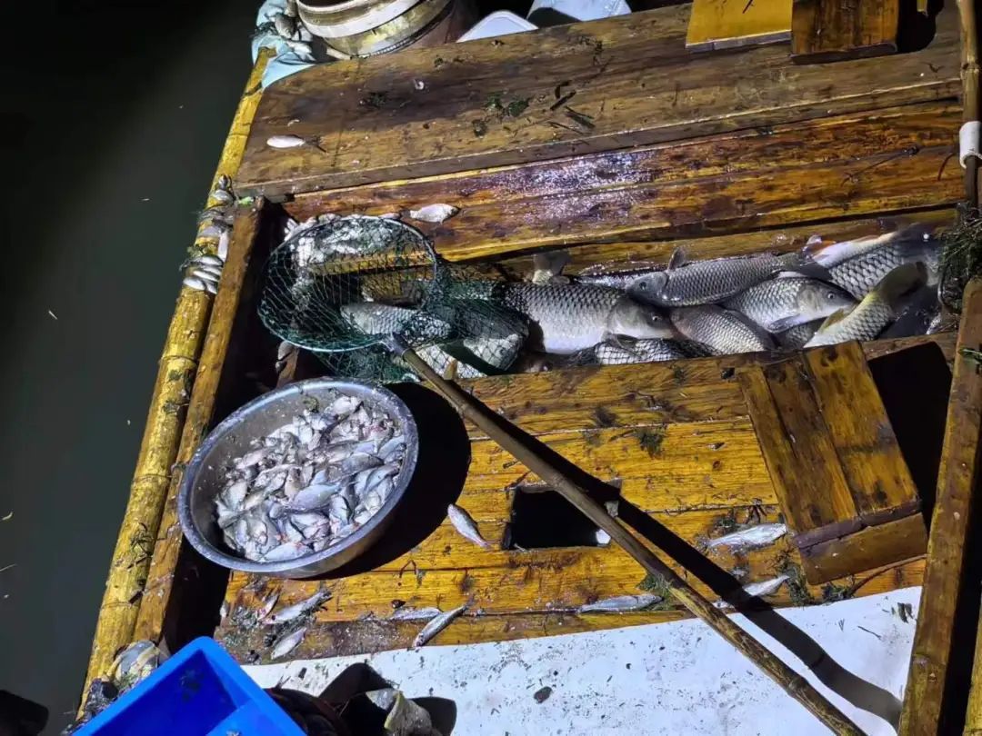 我的位置:>上观号>上海松江>文章详情>1080_810