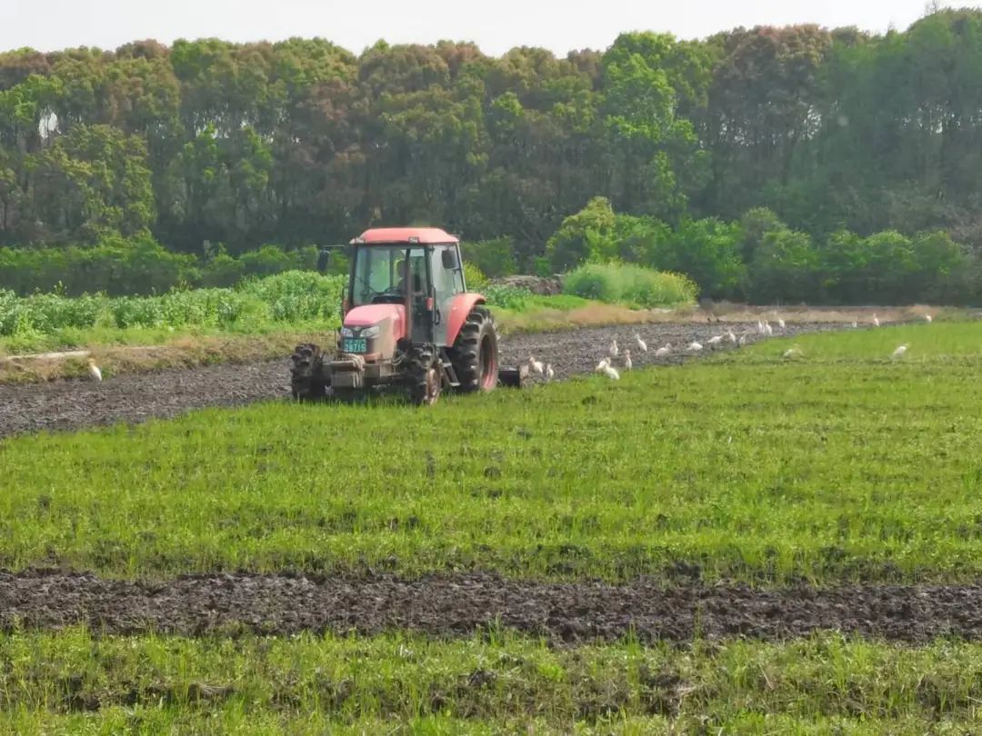 我的位置:>上观号>上海松江>文章详情>1080_810