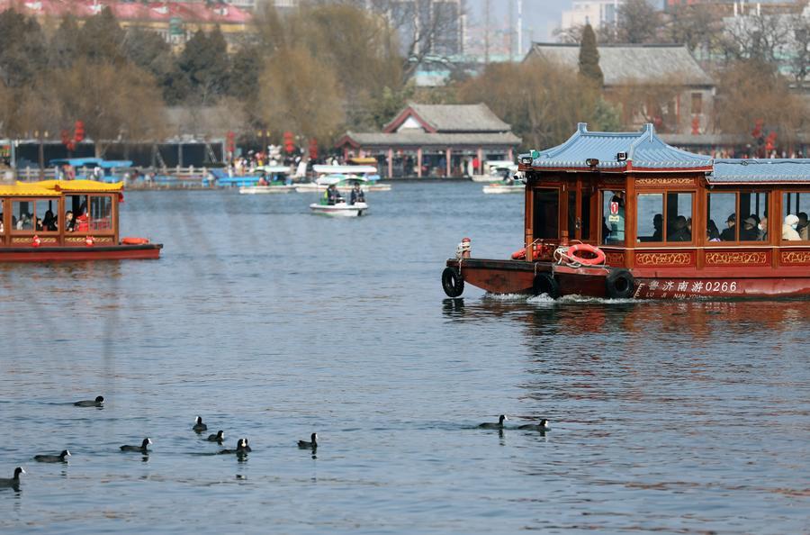 行舟水上,如穿行于一幅风景画中,体验李清照名句"争渡,争渡,惊起一滩