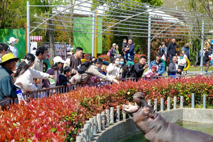 市民游客可以在宣传点现场购票,包括栖霞山风景区,金牛湖景