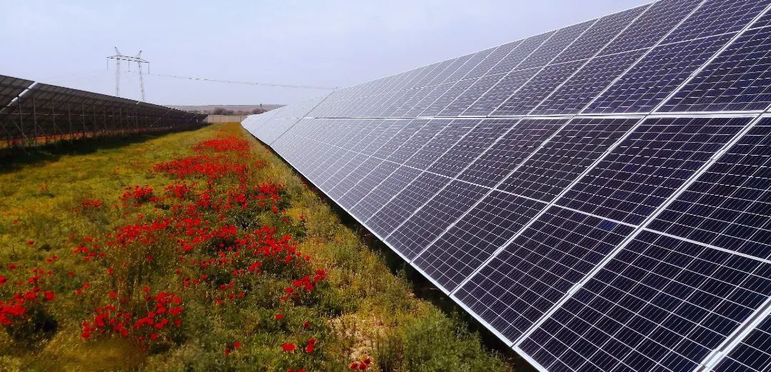 中国式现代化奋进者| 南逸:探索清洁能源行业,深耕"一