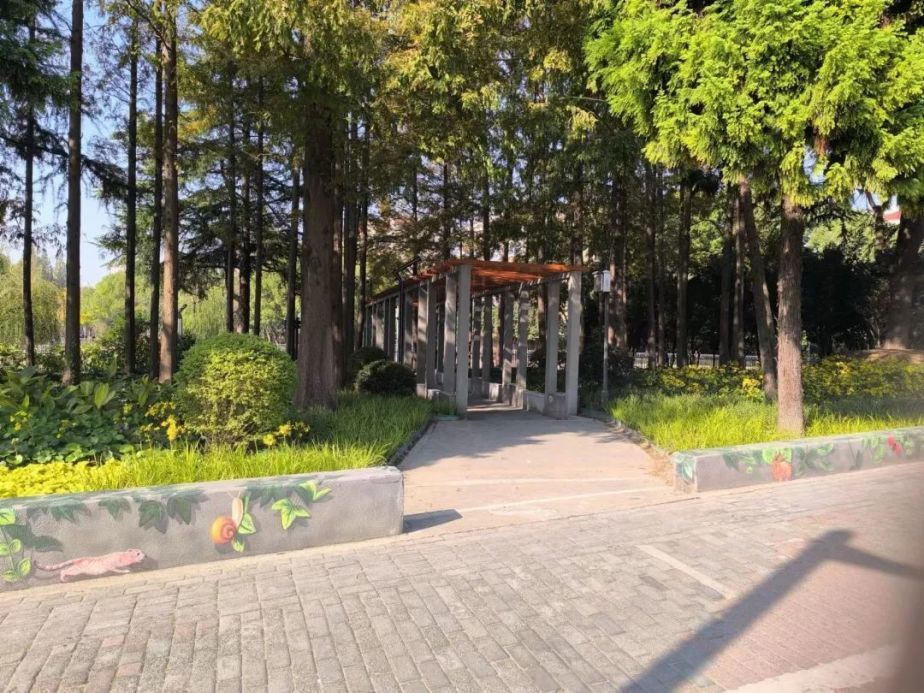 拆墙透绿,塘桥公园提升公园城市界面颜值