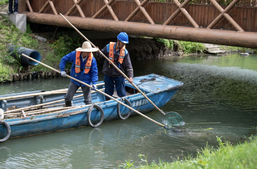 "清网行动",开始!