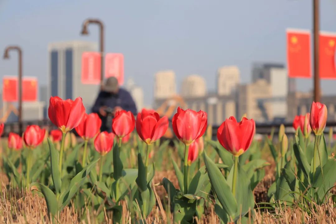 杨浦的15分钟,如何"长"出文化"向新力"?