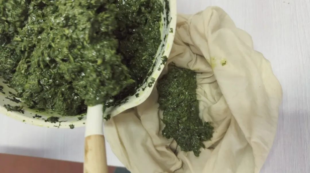 再也不怕蚊虫叮咬！教你自制清凉驱蚊艾叶薄荷膏，学起来→(图8)