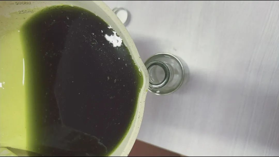 再也不怕蚊虫叮咬！教你自制清凉驱蚊艾叶薄荷膏，学起来→(图14)