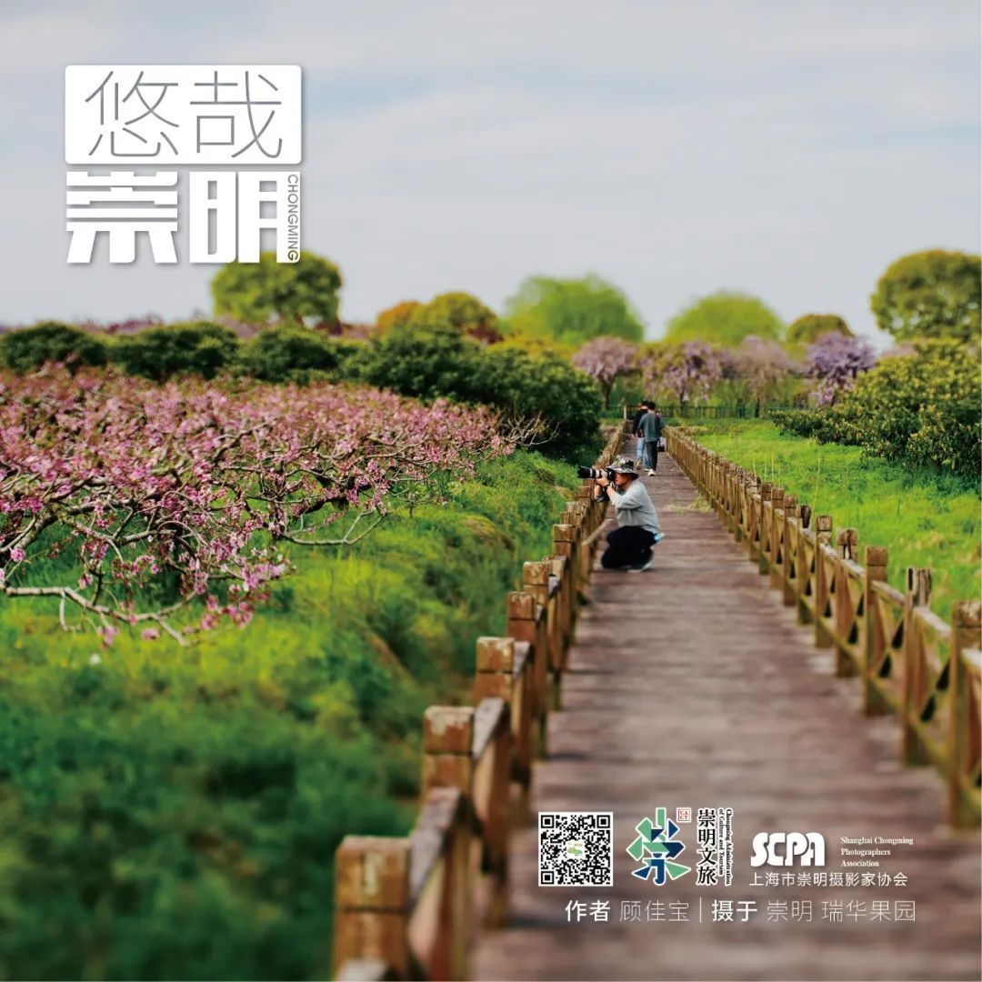 快来打call,5月18日这场运动赛事从长兴岛郊野公园开始!