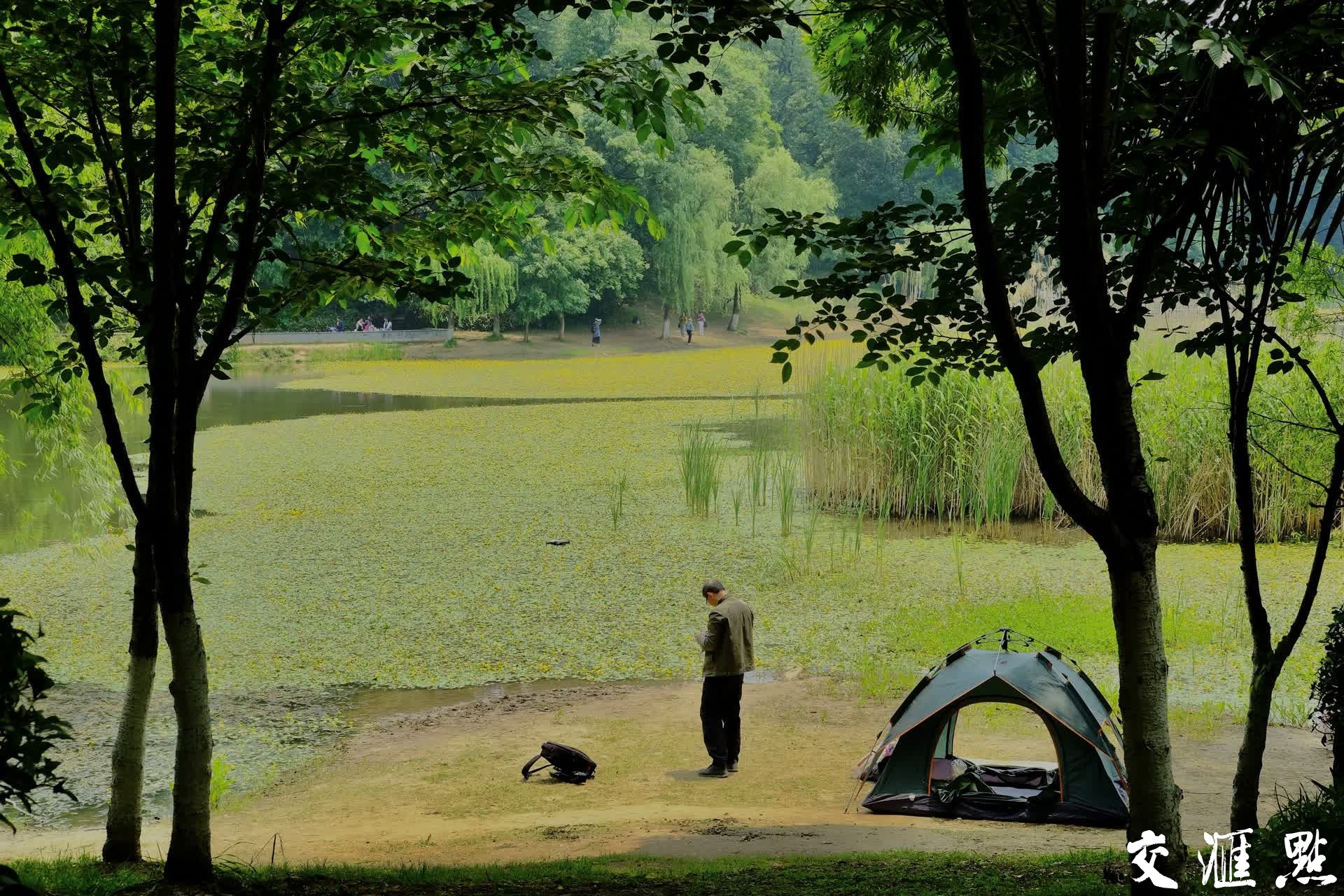 南京琵琶湖风景区门票图片