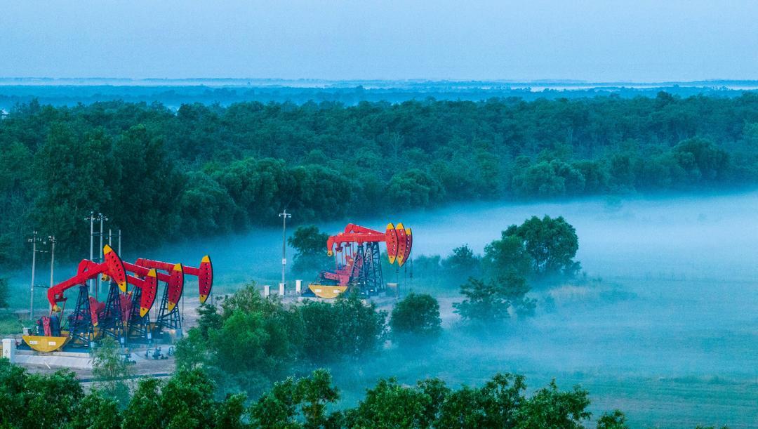 美丽山东——山东24小时之东营篇