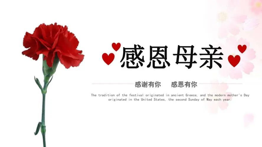 感恩母亲,看奉浦的花式浪漫!