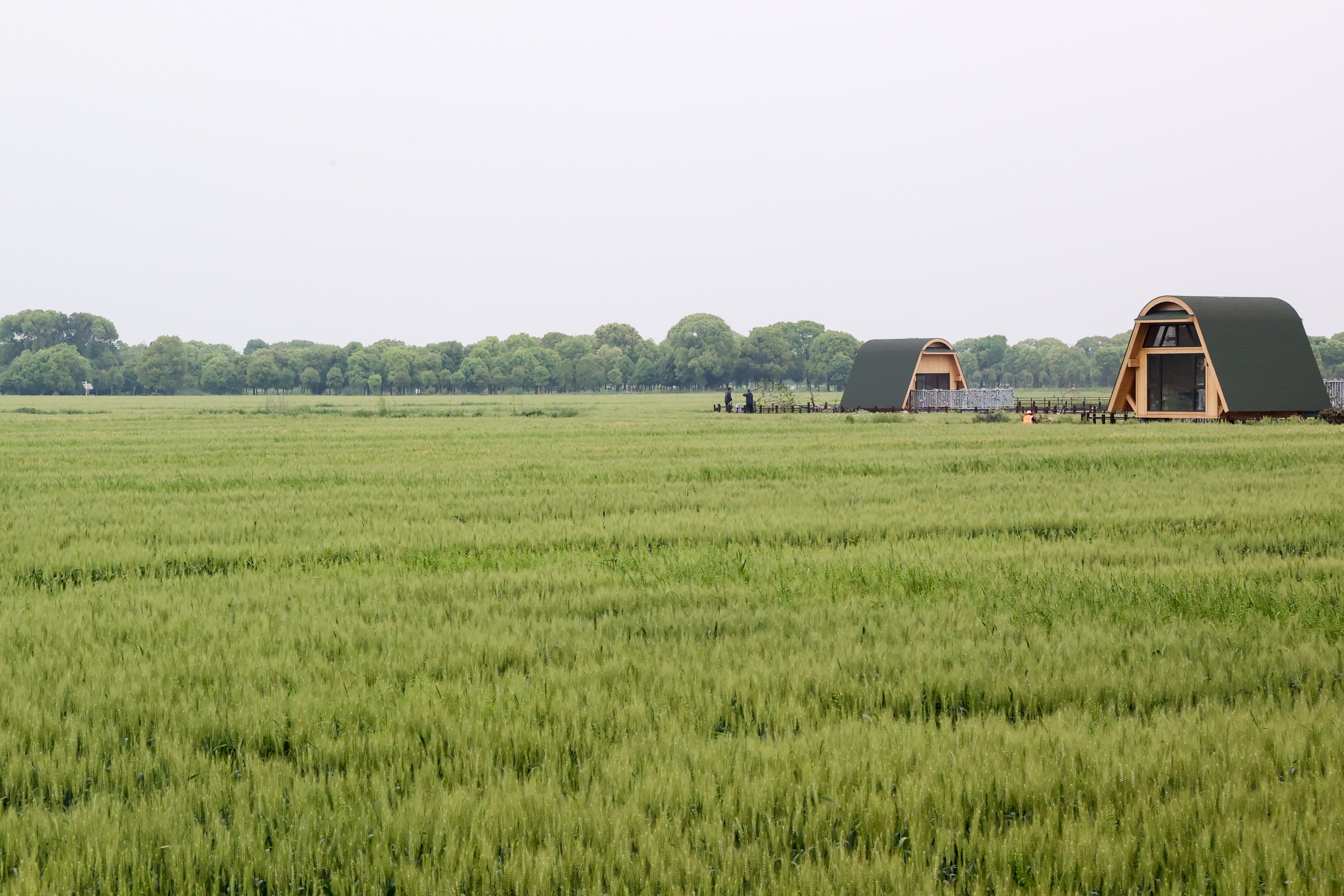 再发力!今年力争净增恢复耕地超1万亩