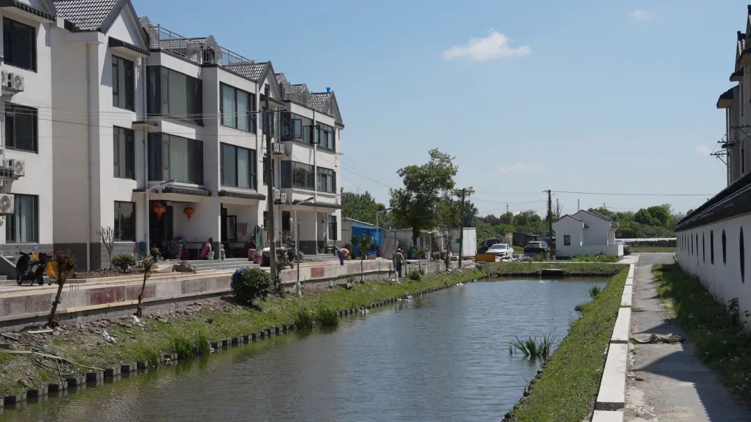 有被惊艳到!宝山这个宝藏乡村又美又出圈