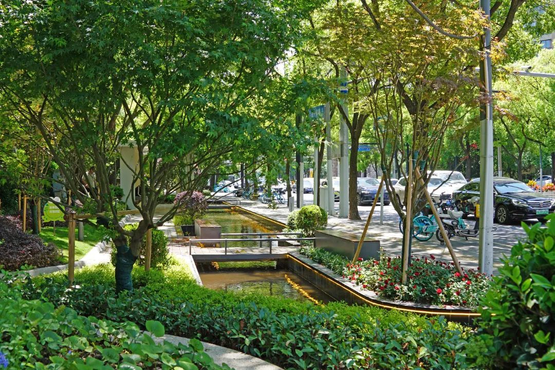 巧用"水"元素,打造"云水园"~静安这个口袋公园完成改造重新开放