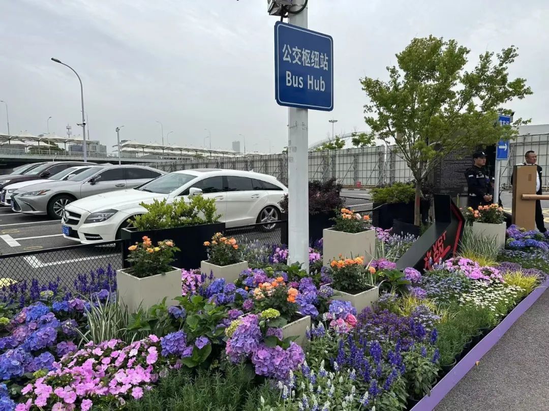 主题景点 外围布置,奥运资格赛氛围组已上线!