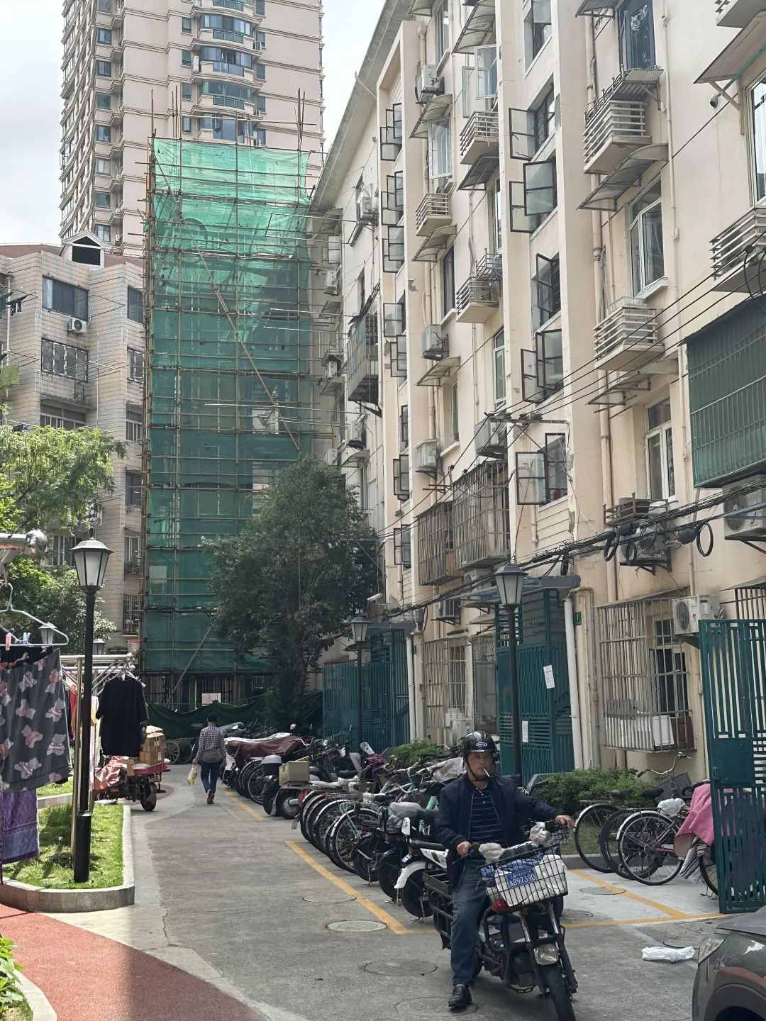 MK体育- MK体育官网- MK体育APP下载家政服务将建立“红黑名单” 选保姆的时候可参考