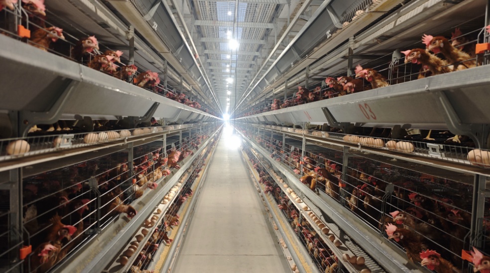 从获金奖看智能化生态养殖"密码"