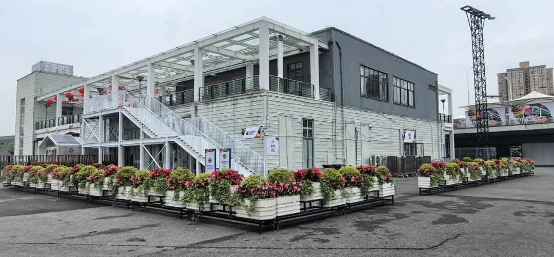 奥运资格赛"氛围组"已上线,赛区及周边花卉景观质量全面提升