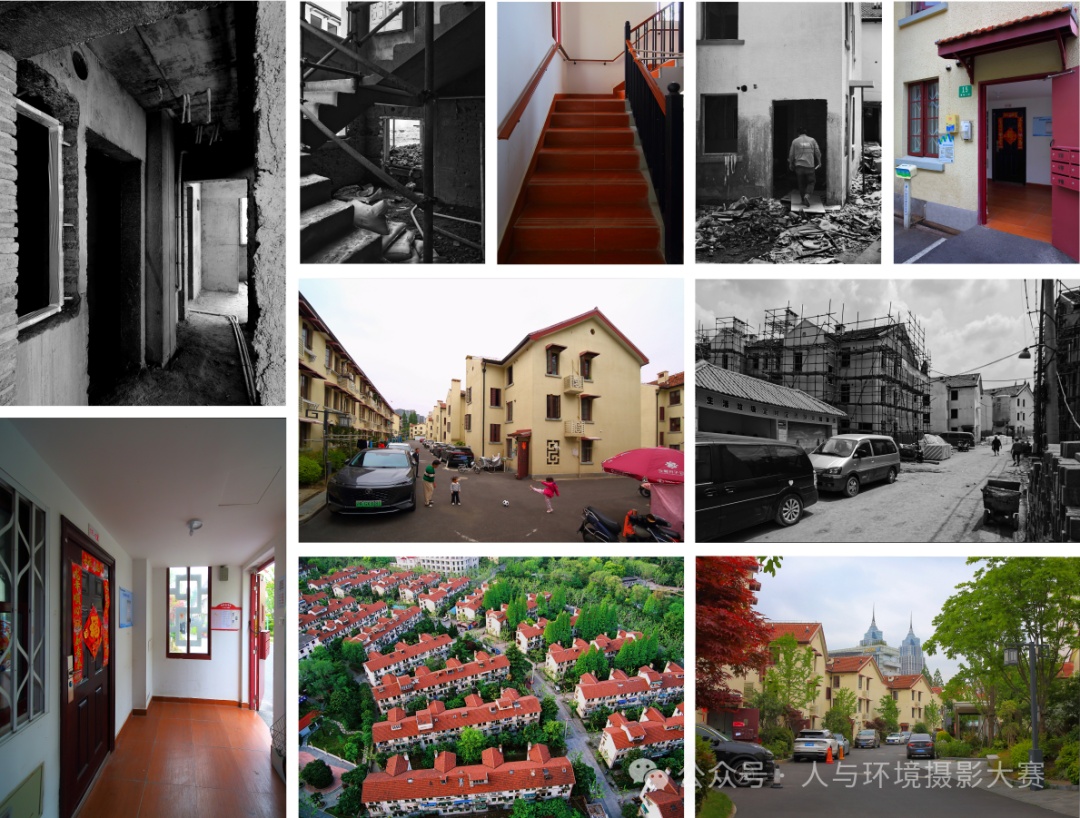 领奖啦!|2024上海城市生态环境影像展入选作品发布