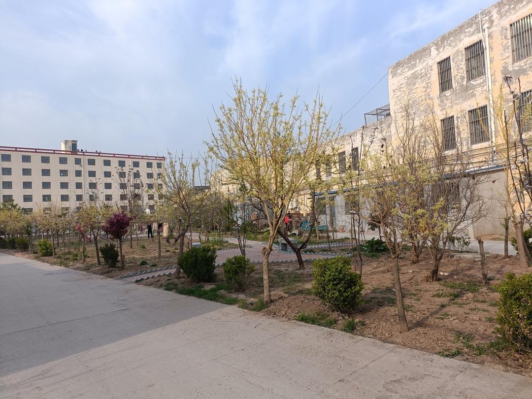 阳谷县郭屯镇:路域整治出"实招" 乡村颜值大"提升"