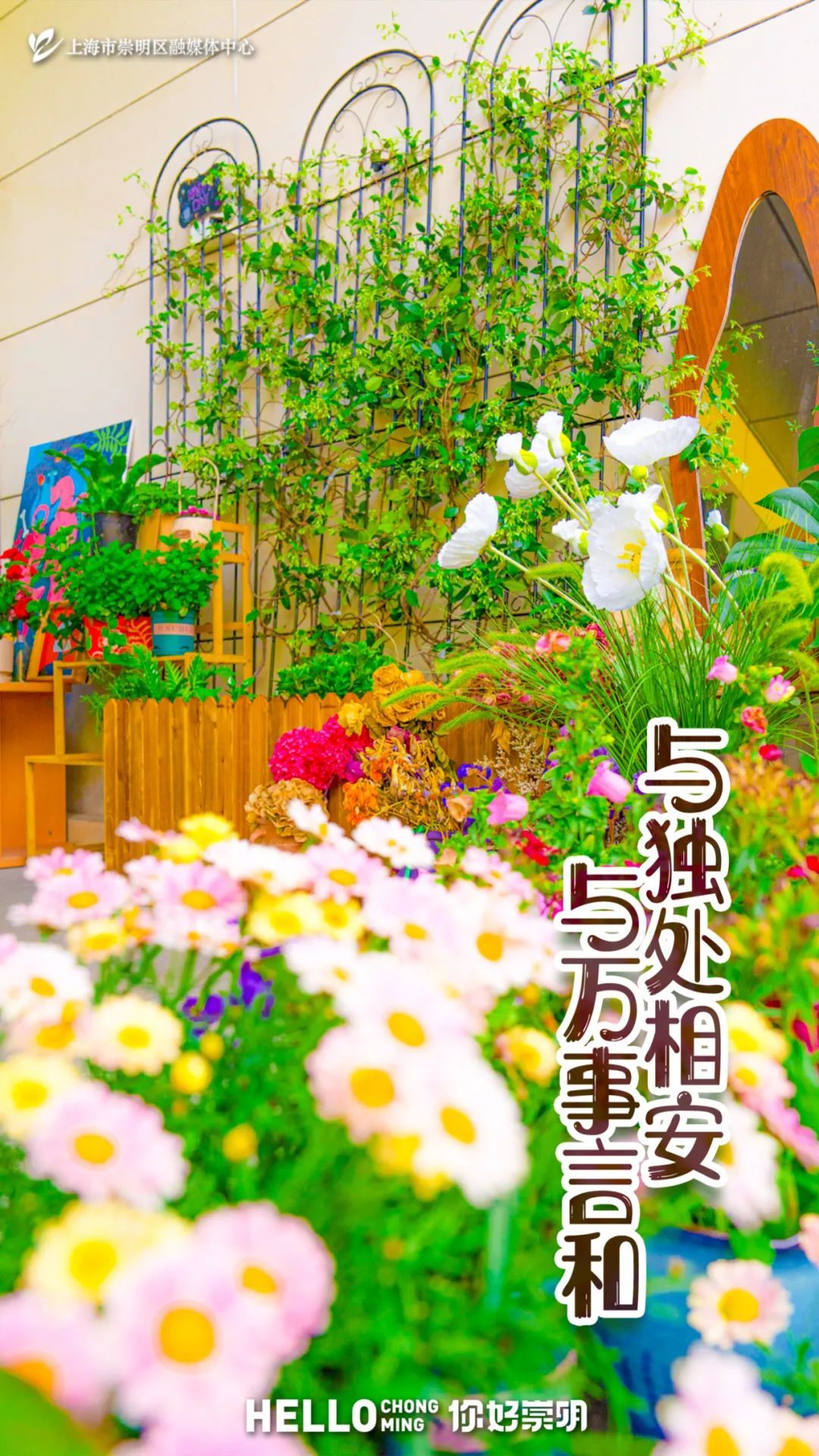 崇明中高考考生,身份证业务可加急办理