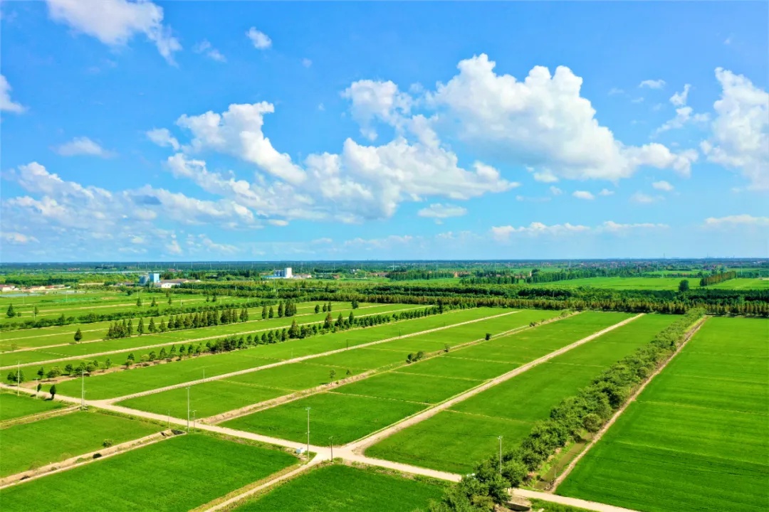 崇明为何要在全市率先开展这项工作?