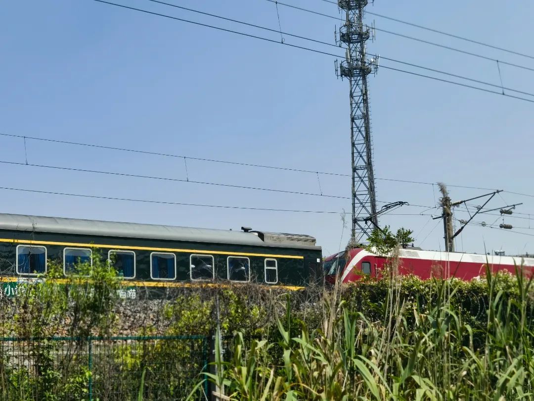 见证百年铁路史!松江一市民捐赠"苏省铁路"界碑