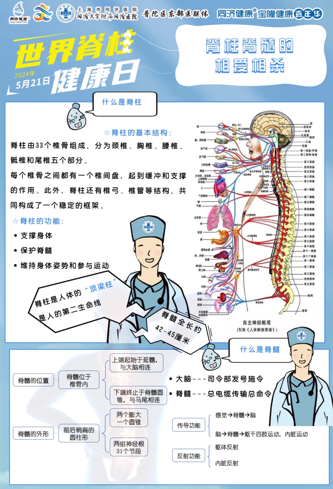 【同济健康 】2024年5月21日世界脊柱健康日同济大学附属同济医院线