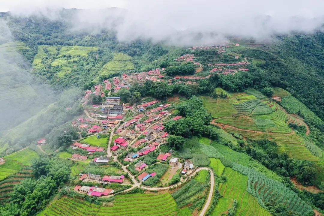 艾嘎摄《甩发舞之乡》  西盟县委宣传部供图《乡村音乐节》(西盟县勐