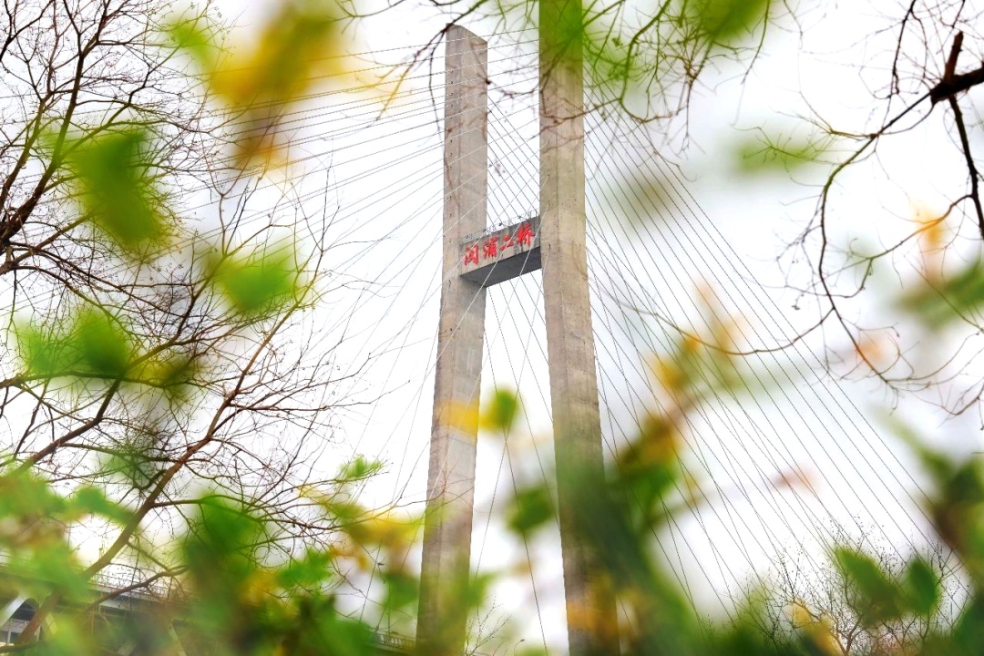 无论是春秋还是冬夏无论是风霜还是雨雪闵浦二桥的"h"型桥塔都别有一