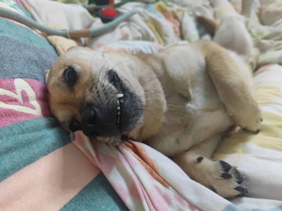 快来选出你心目中的no.1!