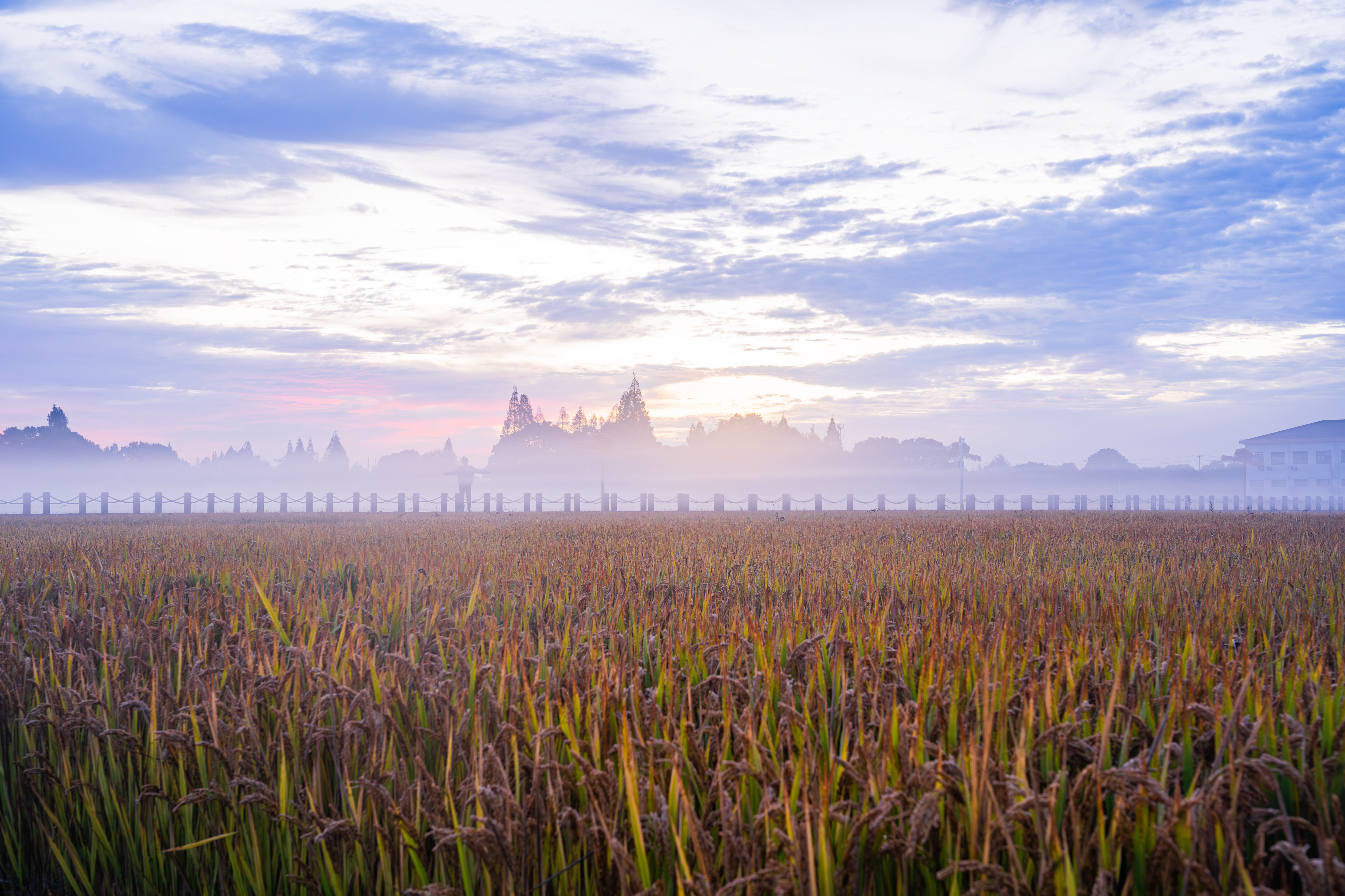 自泰伯奔吴,筑城梅里,开创句吴基业,把黄河流域先进的农耕文化带到吴