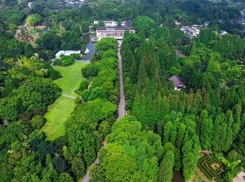 好书·新书 |《上海植物园(50周年)》