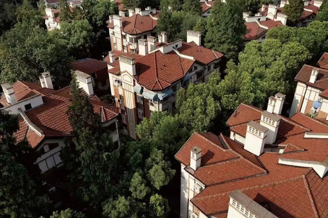 我的位置:>上观号>上海黄浦>文章详情>1055_702